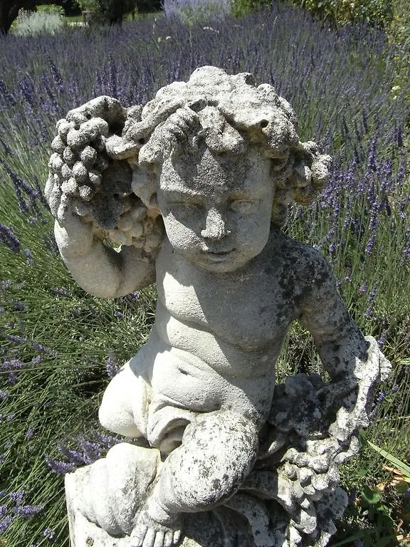 Bastide St Mathieu Hotel Grasse